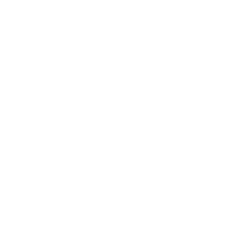 Ribbel International Ltd.